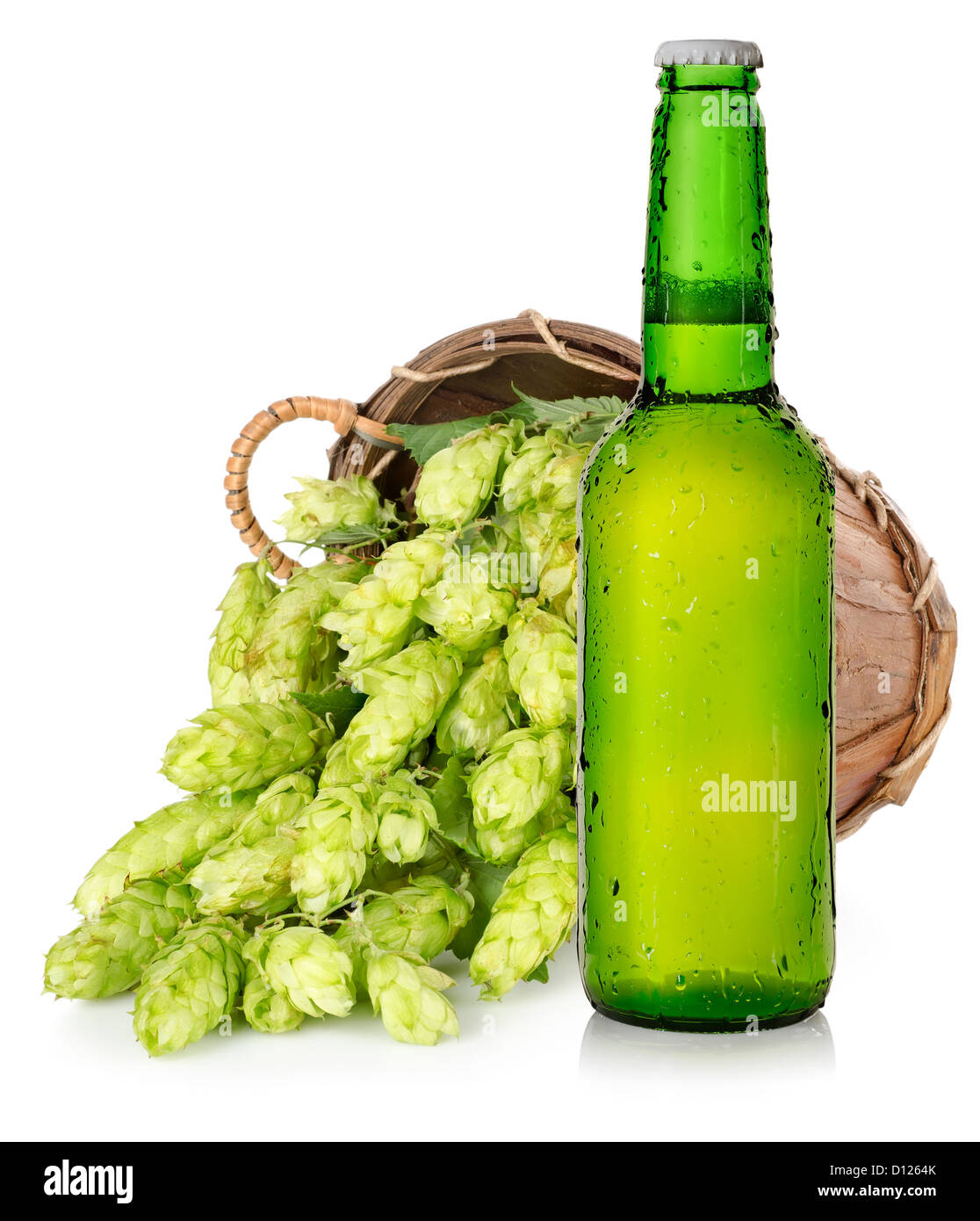 Helles Bier und Hopfen im Korb isoliert auf weißem Hintergrund Stockfoto