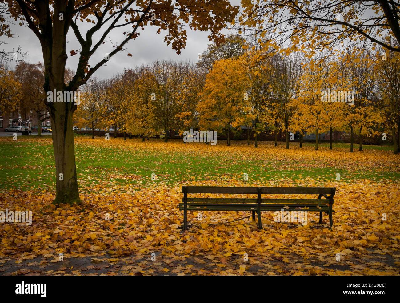 Herbst in satten Farben in Wilmslow, Cheshire. Stockfoto