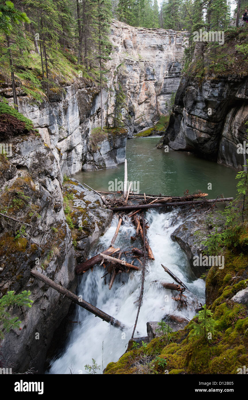 Maligne Canyon; Alberta, Kanada Stockfoto