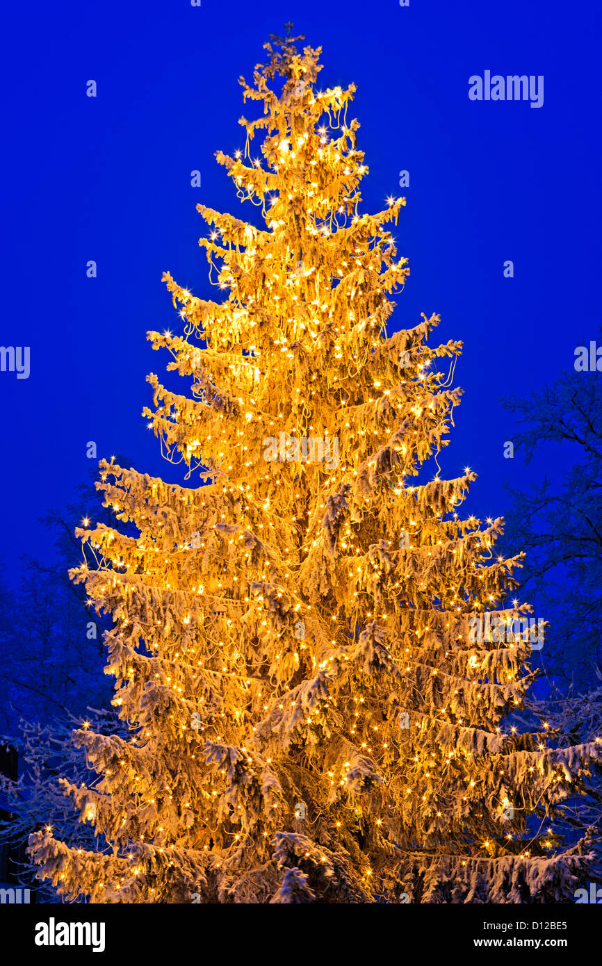 Weihnachtsbaum vor dem Landratsamt in Neustift, Freising, Bayern, Deutschland, Europa. Stockfoto