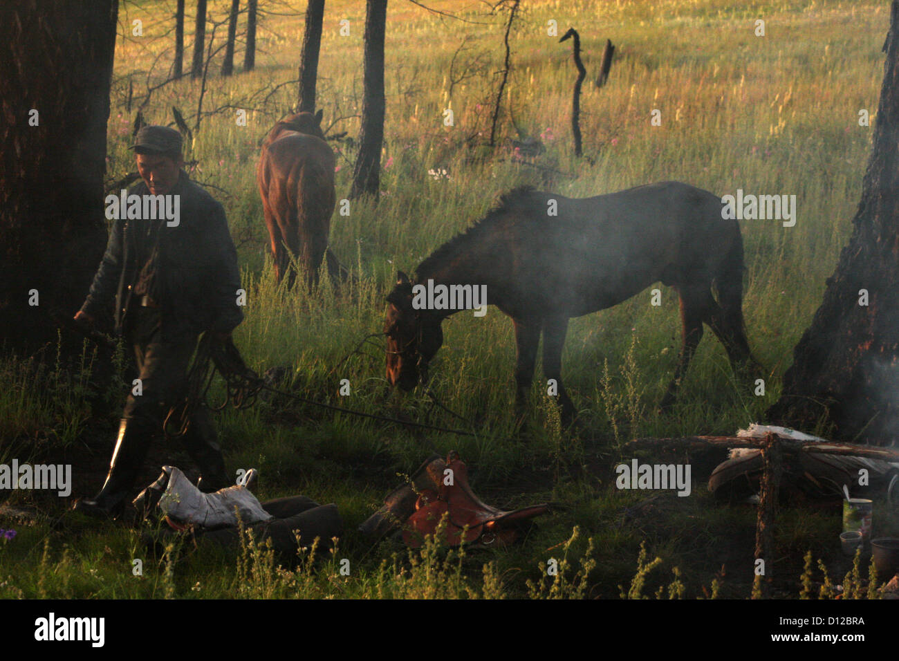 Chimeet und seine Pferde, Khentii Stockfoto