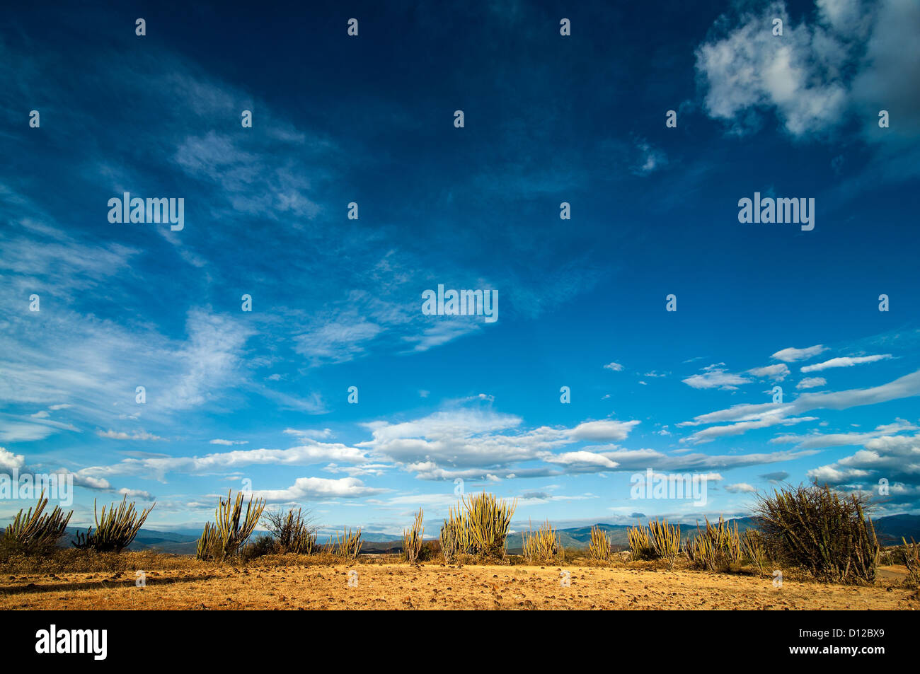 Ein Blick auf eine Wüste in Kolumbien mit einem tiefblauen Himmel. Stockfoto