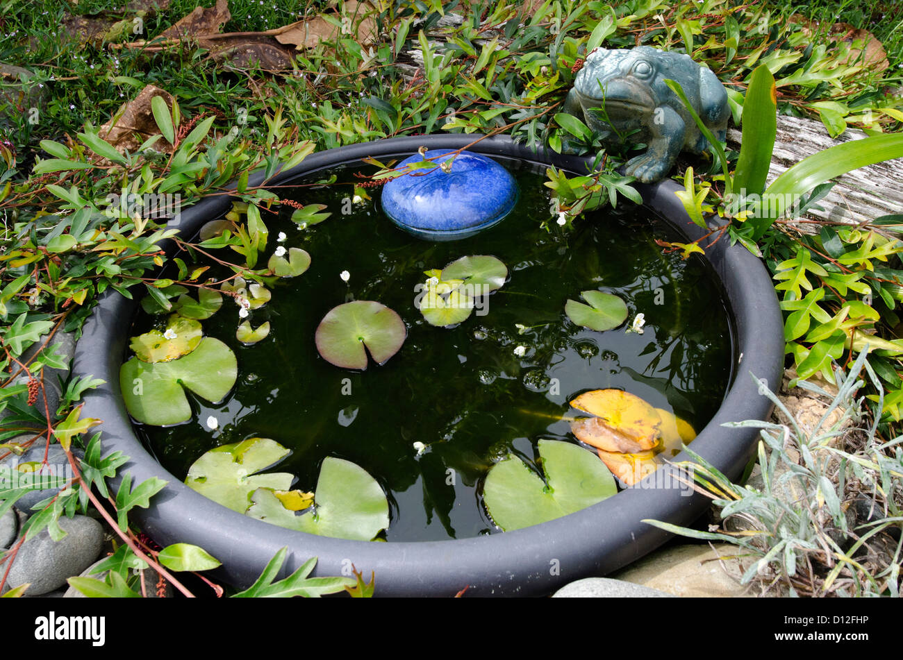 Frosch Statue Stockfotos und bilder Kaufen Alamy