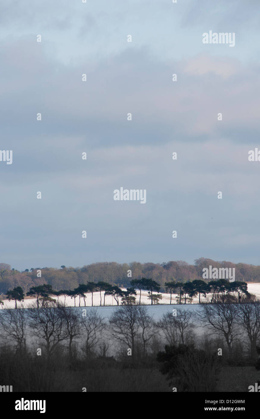 Breckland Felder und Landschaft mit leichten Abstauben von Schnee Wadlow Cambridgeshire Stockfoto