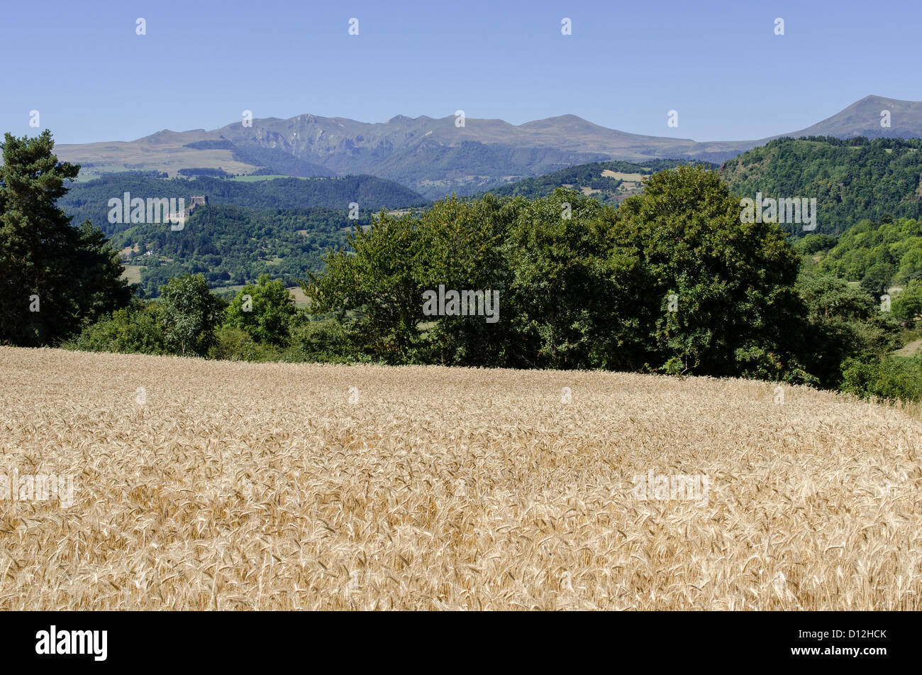 Kulturlandschaft in der Region Puy-de-Dôme. Puy de Sancy, im Hintergrund. Stockfoto