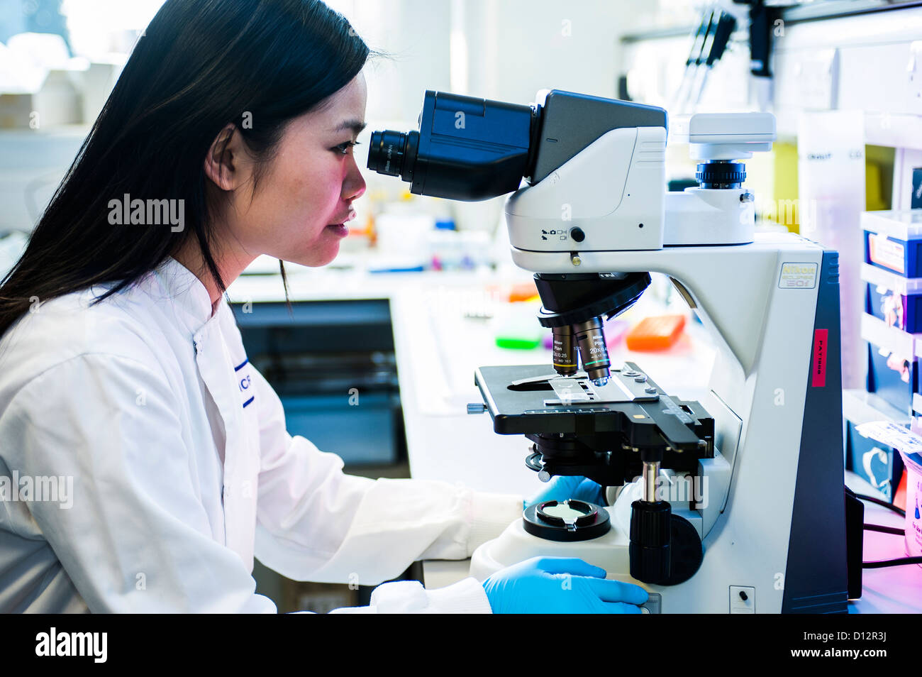 Asiatische Wissenschaftlerin verwendet ein Mikroskop, um Zellen zu untersuchen Stockfoto