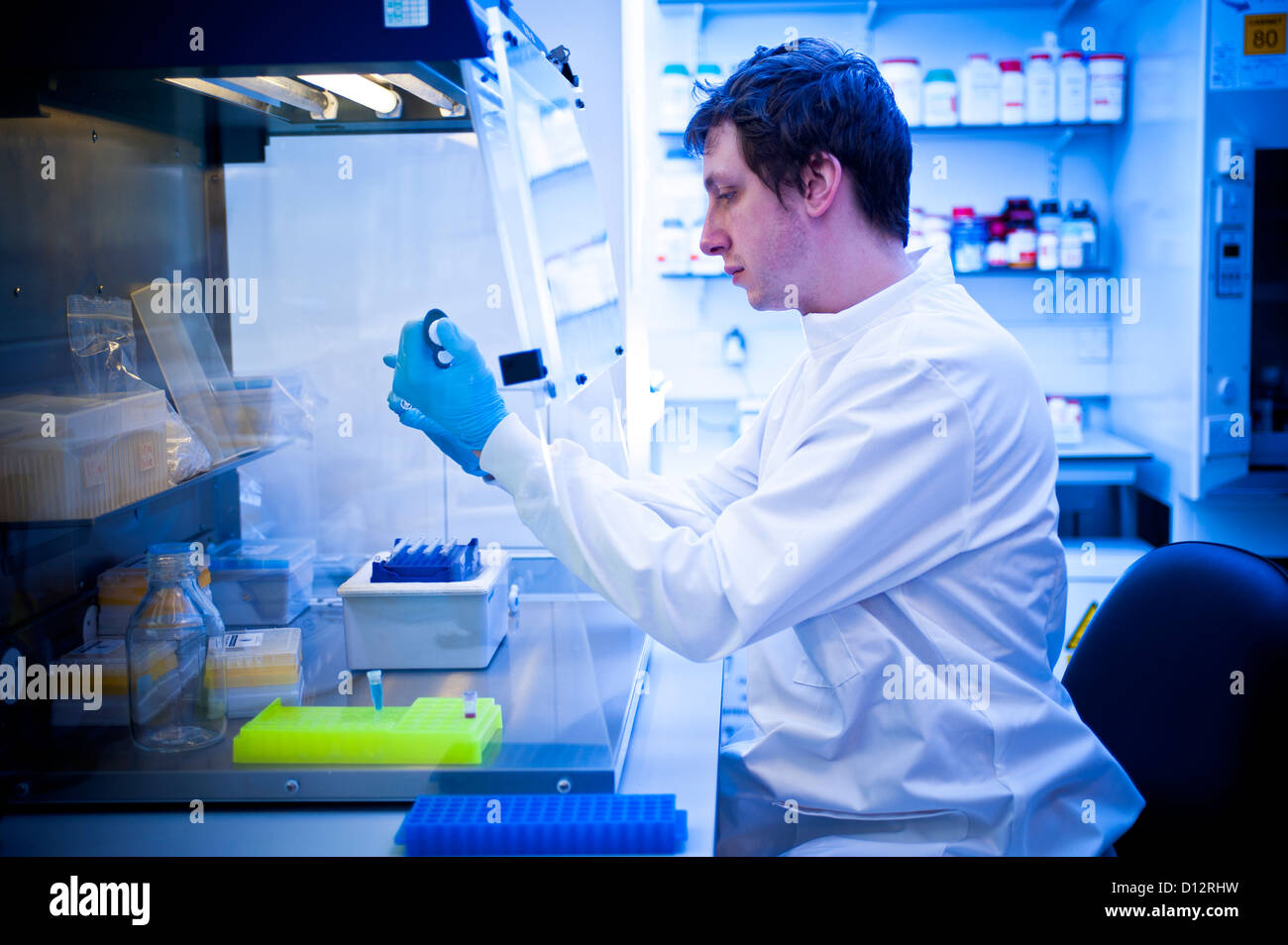 Männliche Wissenschaftler oder Forscher früh zwanziger Jahre saß am Laborabzug mit biologischen Proben in einem wissenschaftlichen Labor arbeiten Stockfoto