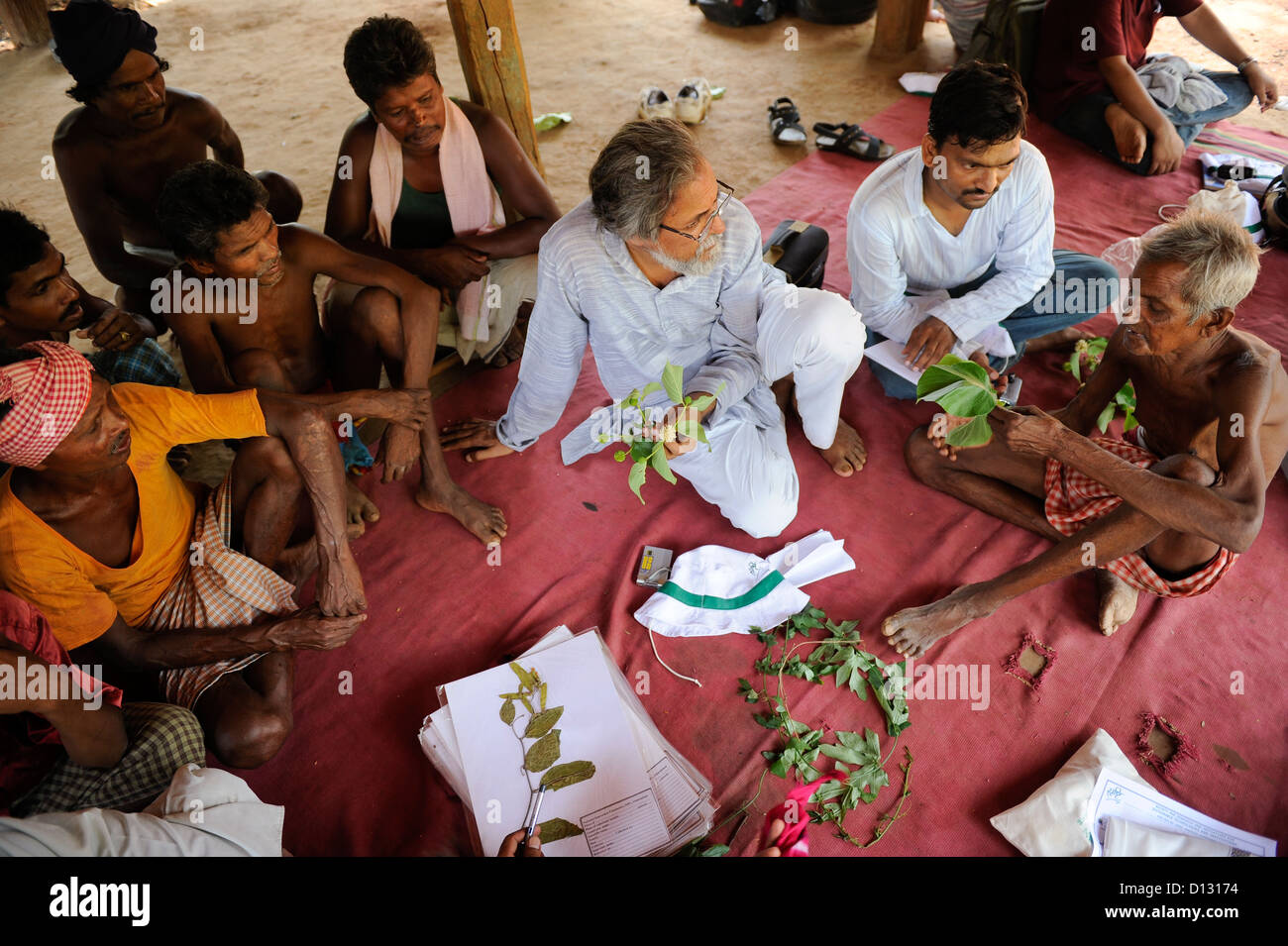 Verwenden Sie Indien-Chhattisgarh, Prof. Anil Gupta und NGO SRISTI entdecken Sie auf dem Rundgang Shodh Yatra Ortskenntnis und Erfindungen in den Stammes-Dörfern von Bastar, d.h. von Heilpflanzen und Kräutern von Gond Stämme Stockfoto