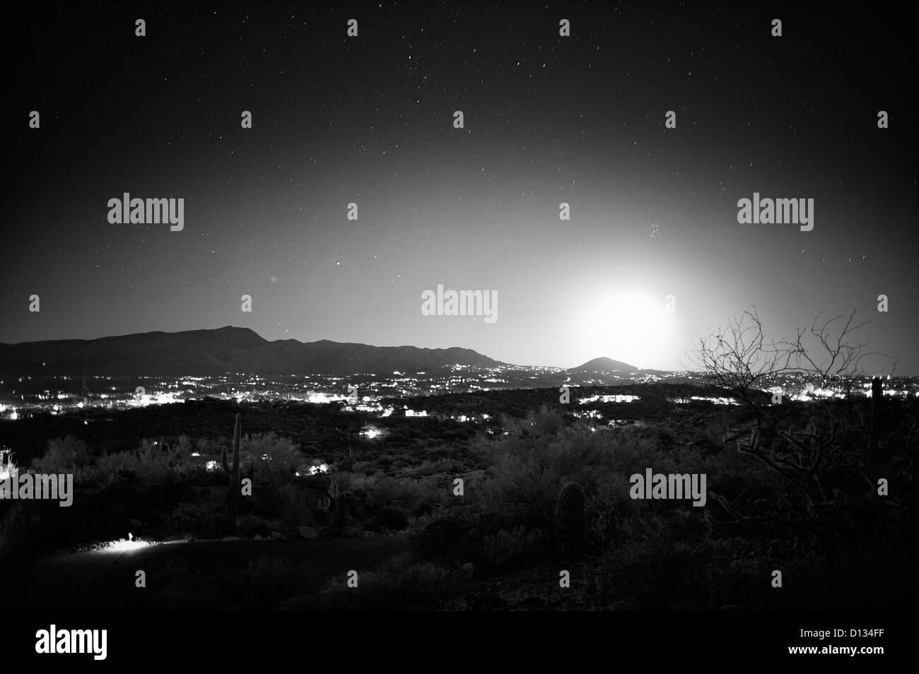 'Black & White' Night scene Stockfoto