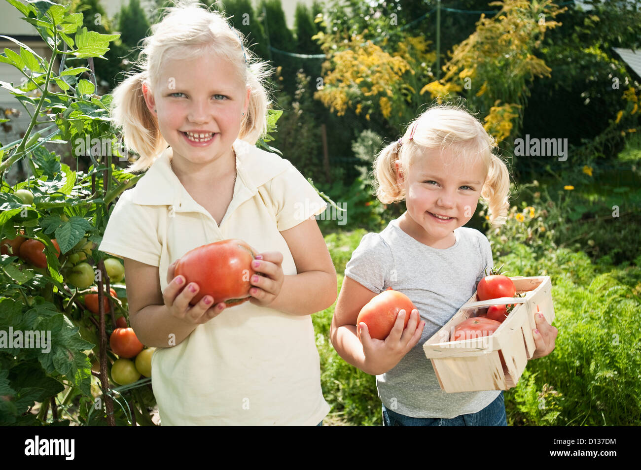 Deutschland, Bayern, Mädchen sammeln Tomaten im Gemüsegarten Stockfoto