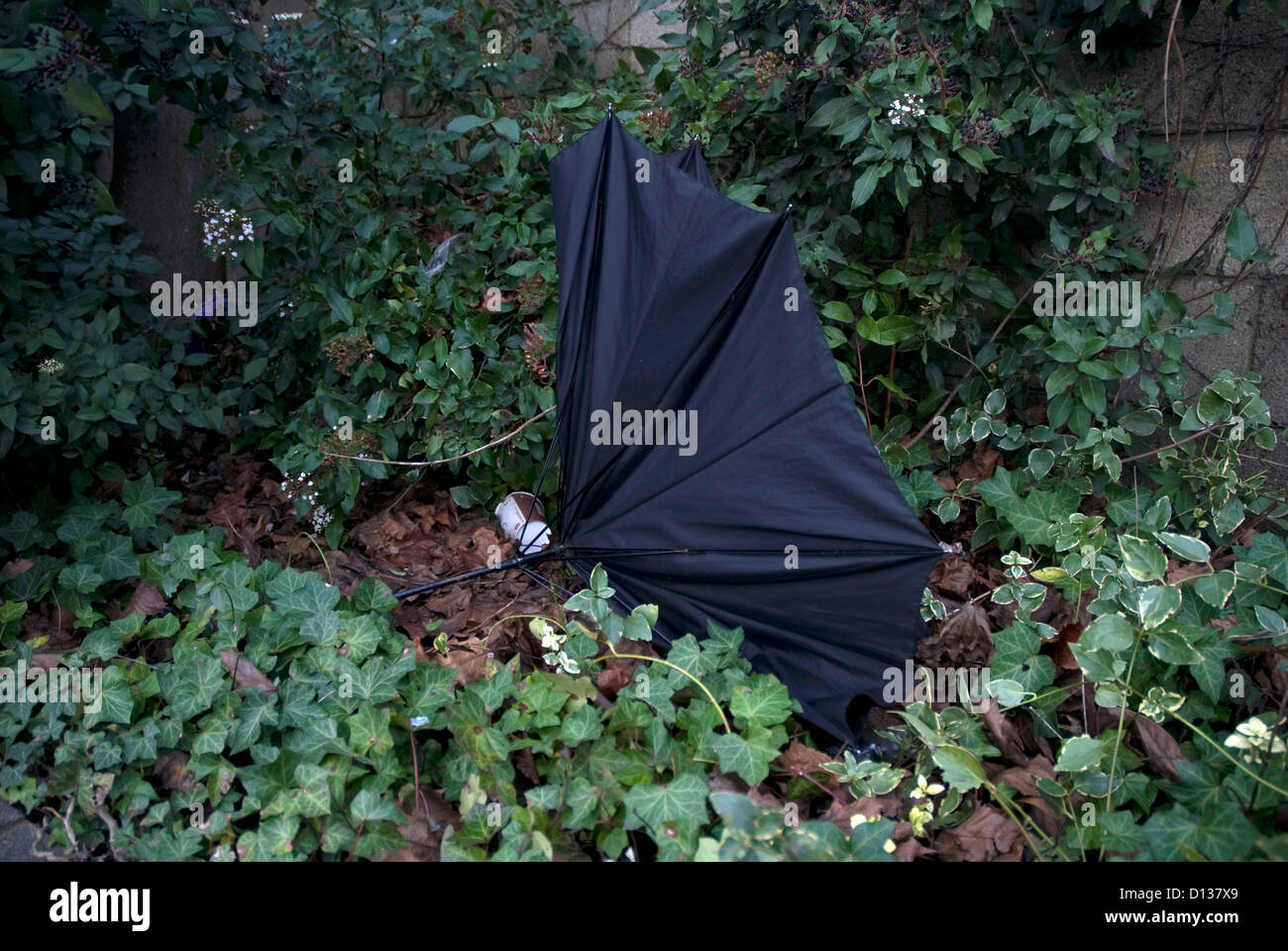 Gebrochen und verlassenen schwarzen Regenschirm Bad Somerset England UK Stockfoto