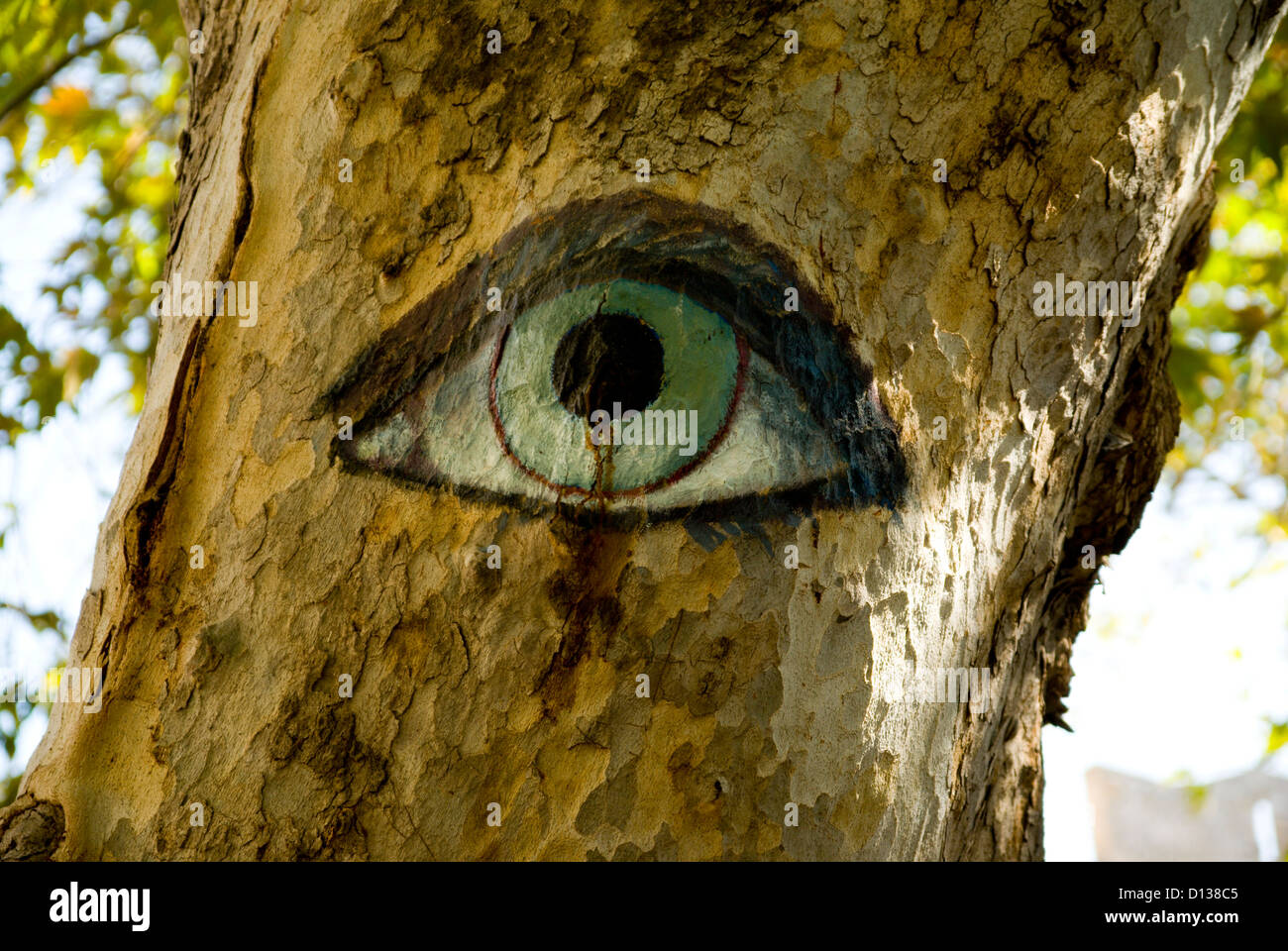 "bösen Blick" gemalt auf Baum, Altstadt von Rhodos, Rhodos Dodekanes Inseln Griechenland Stockfoto