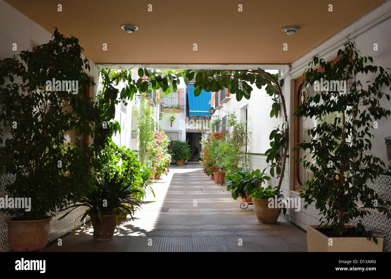 Andalusischen Patio des typisch spanischen Hauses in Cordoba Stockfoto