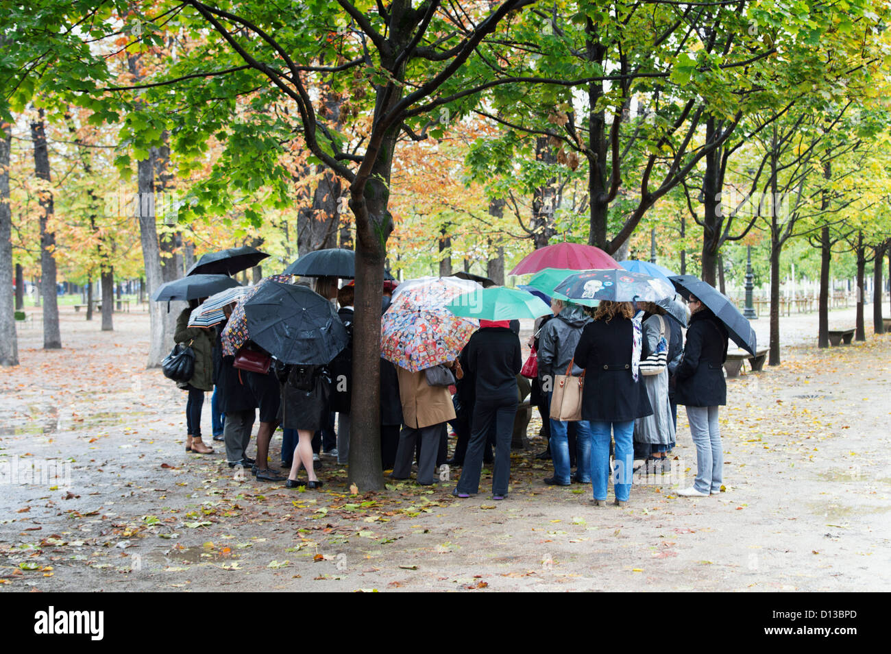 Paris, Frankreich: Touristische Reisegruppe mit Sonnenschirmen im Regen in der Jardin des Tuileries. Stockfoto