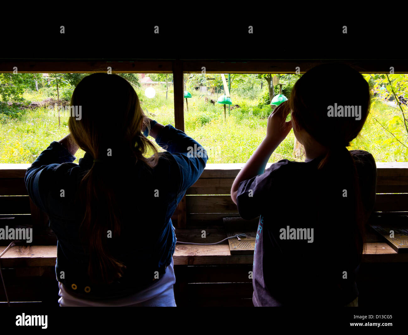Zwei Mädchen Vogelbeobachtung mit dem Fernglas in einem Versteck in Yorkshire England UK Stockfoto