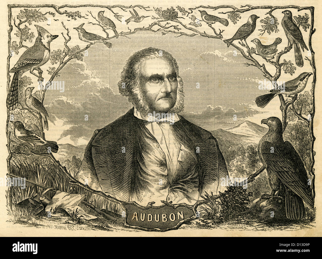 1854-Gravur, Audubon. Stockfoto