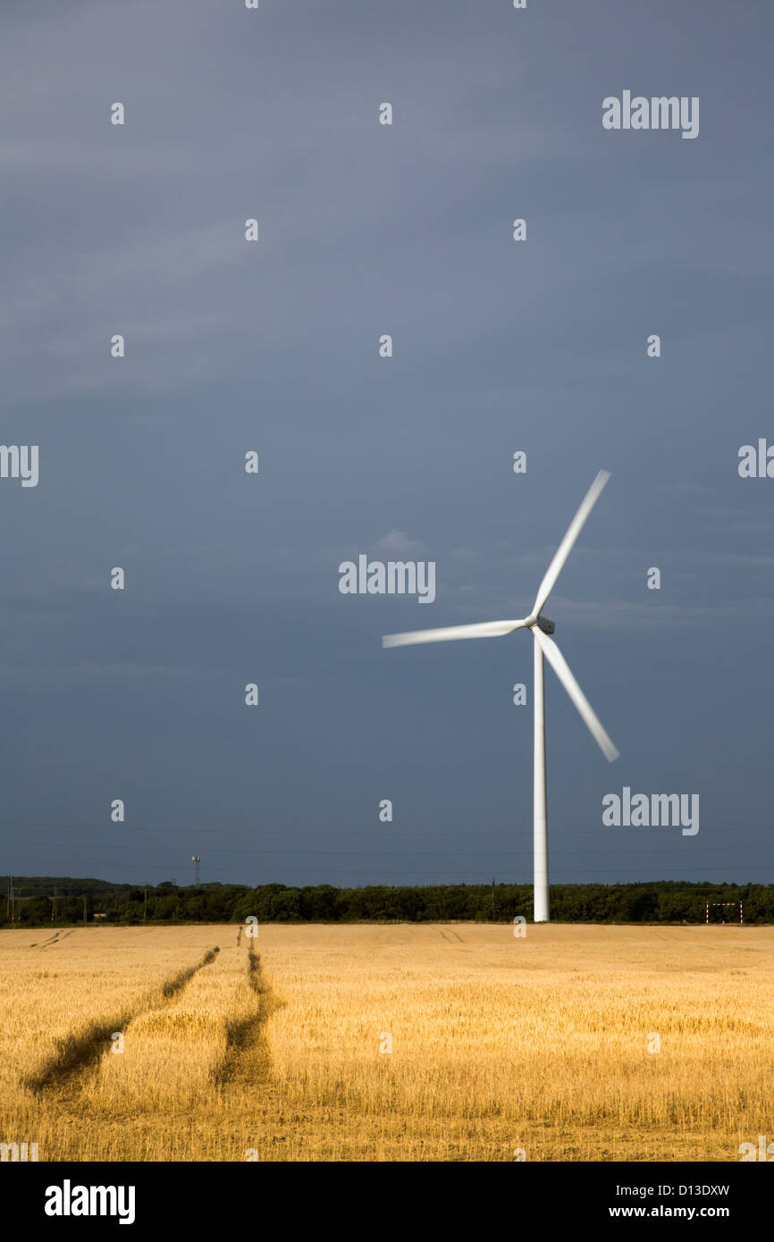 Eine einzelne Windkraftanlage In einem Feld mit Reifenspuren durchzogen; Northumberland, England Stockfoto