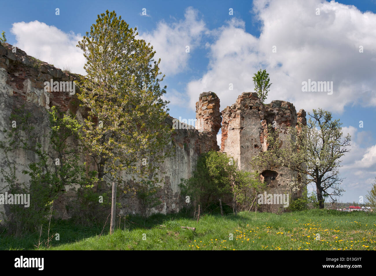 Ruinen der Burg Pniv. Prykarpattia, Ukraine. Im XVI. Jahrhundert erbaut. Stockfoto