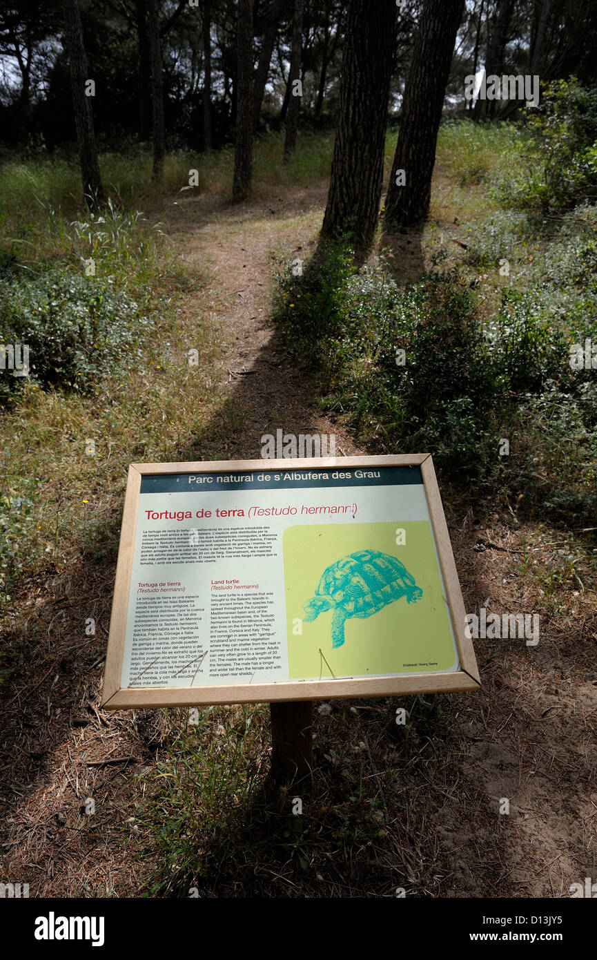Parc natural de s Albufera des Grau Menorca Spanien Stockfoto