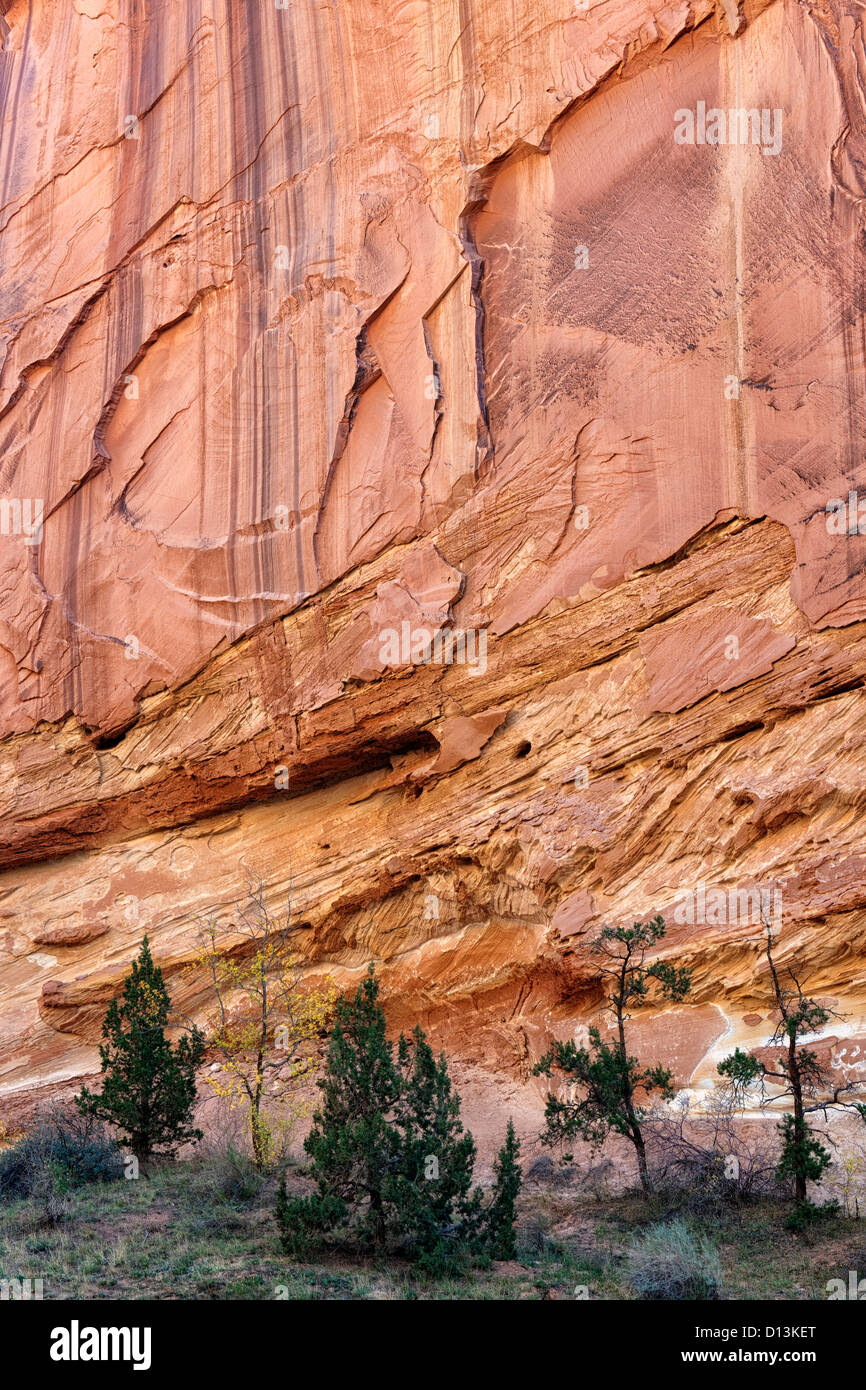 Reflektierende Licht erhellt die Felswände des Grand Wash und Utahs Capitol Reef National Park. Stockfoto