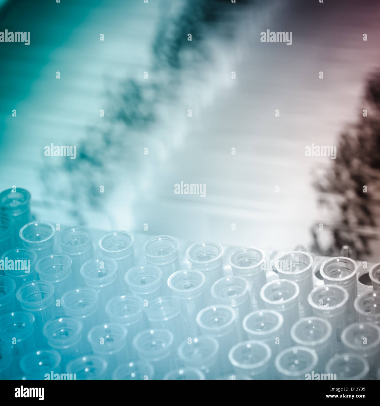 Biologische Medizin Ausrüstung Hintergrund Glas-Objektträger Stockfoto