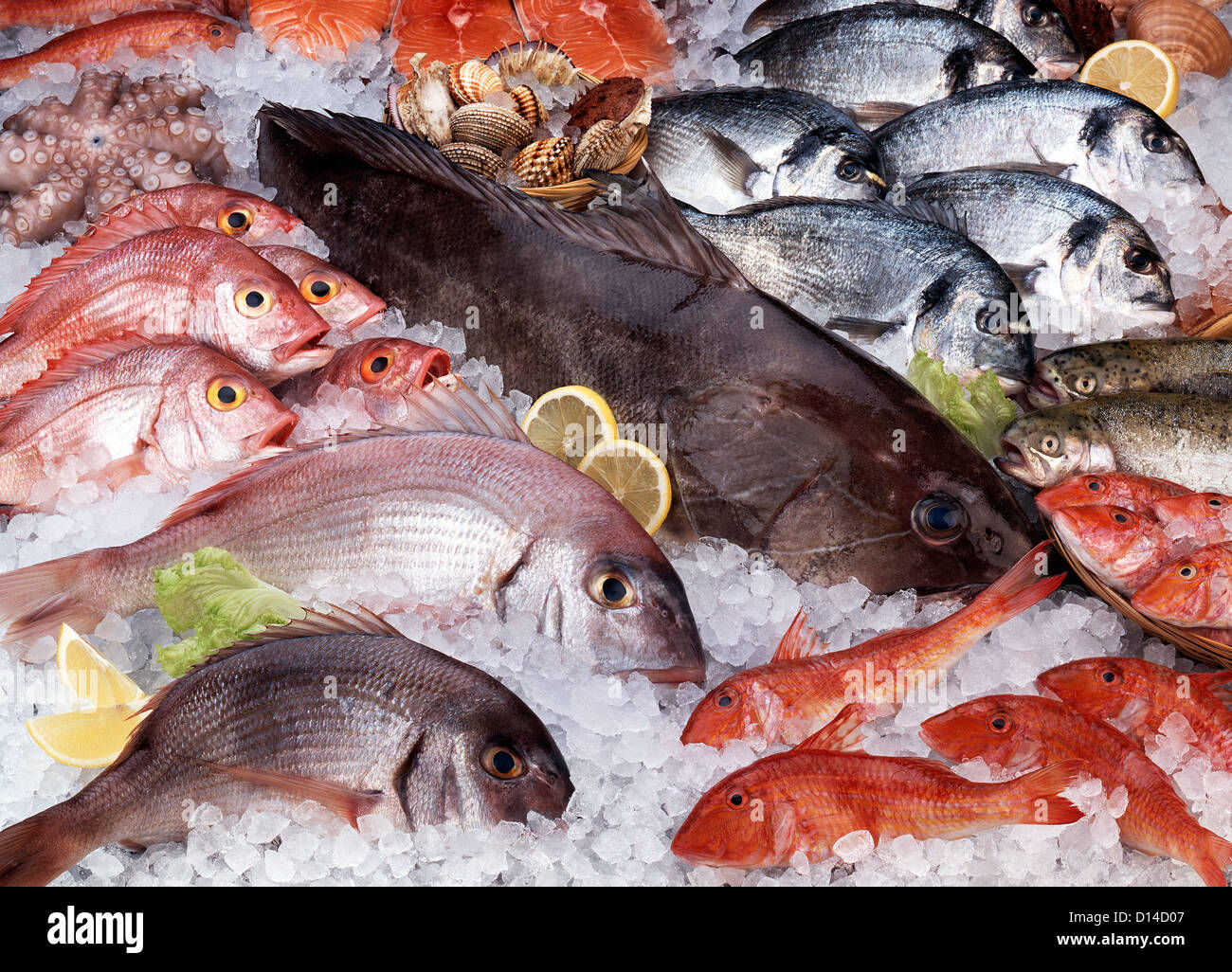 Frischer Fisch Stockfoto