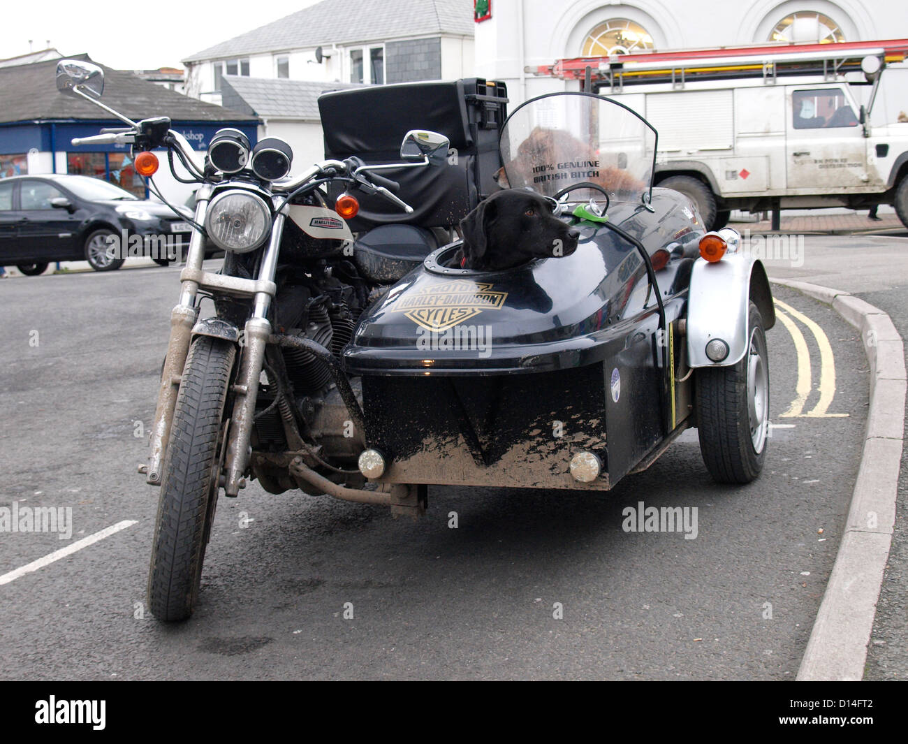Motorrad mit Beiwagen für Hunde, UK Stockfoto