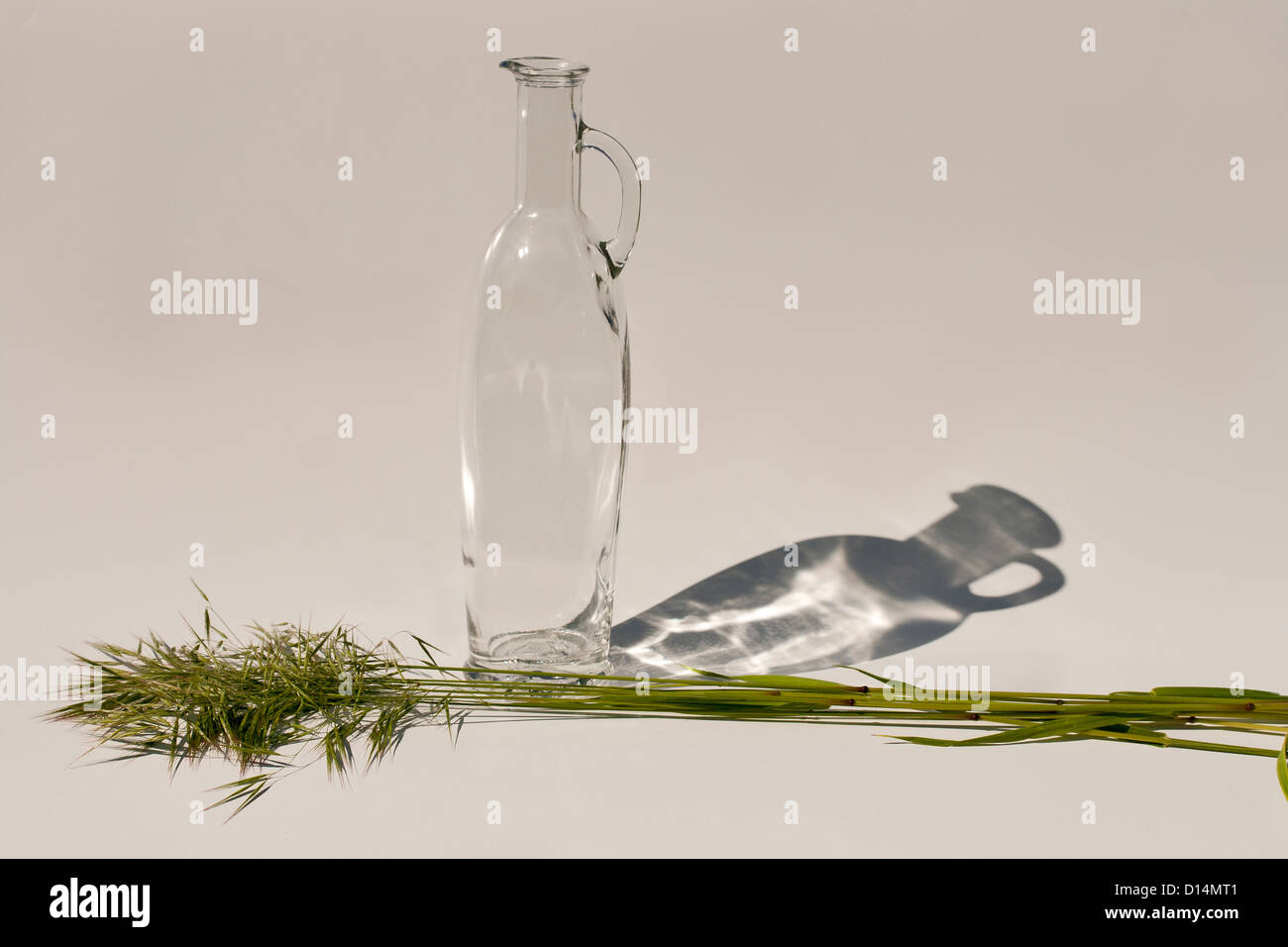 Farbloses Glas Olivenölflasche mit Schatten und Haufen von grünem Rasen vor weißem Hintergrund Stockfoto