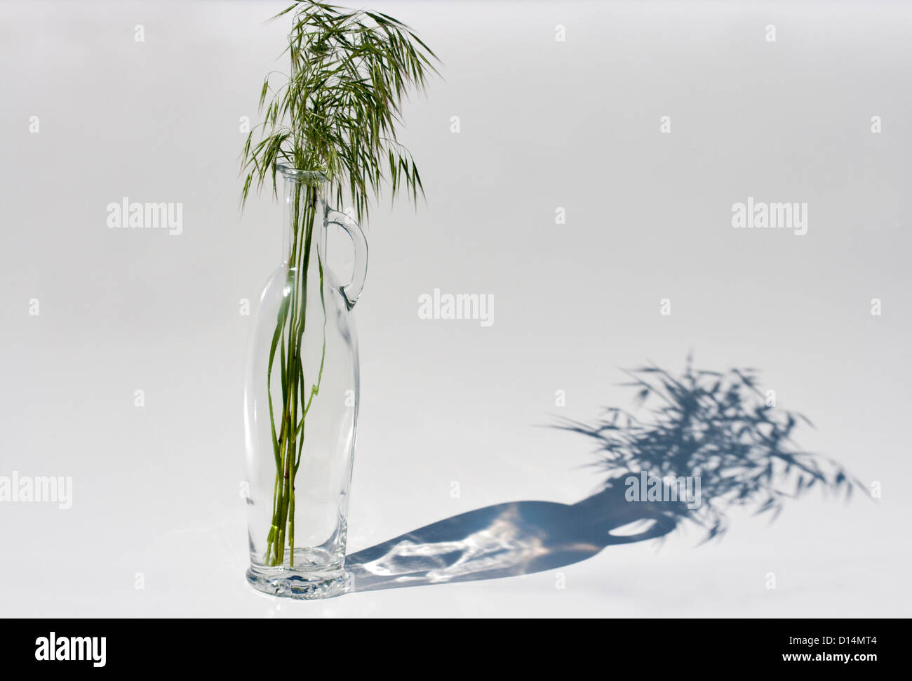 Farbloses Glas Olivenölflasche mit Schatten und Haufen von grünem Rasen vor weißem Hintergrund Stockfoto