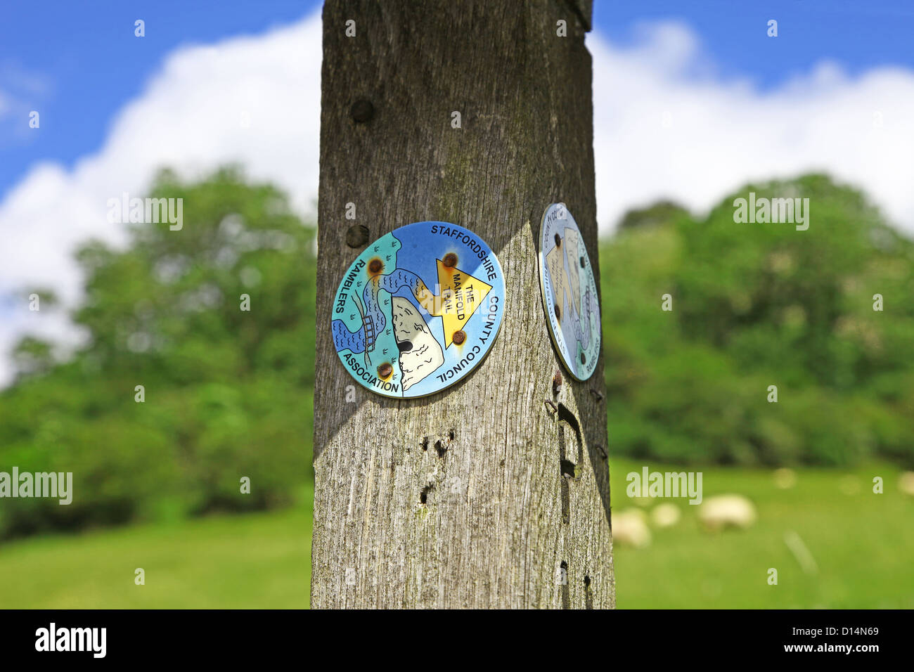 Wanderweg-Marker für den Verteiler-Trail auf einem hölzernen Pfosten Aufmachungen von The Ramblers Association und Staffordshire County Council Stockfoto