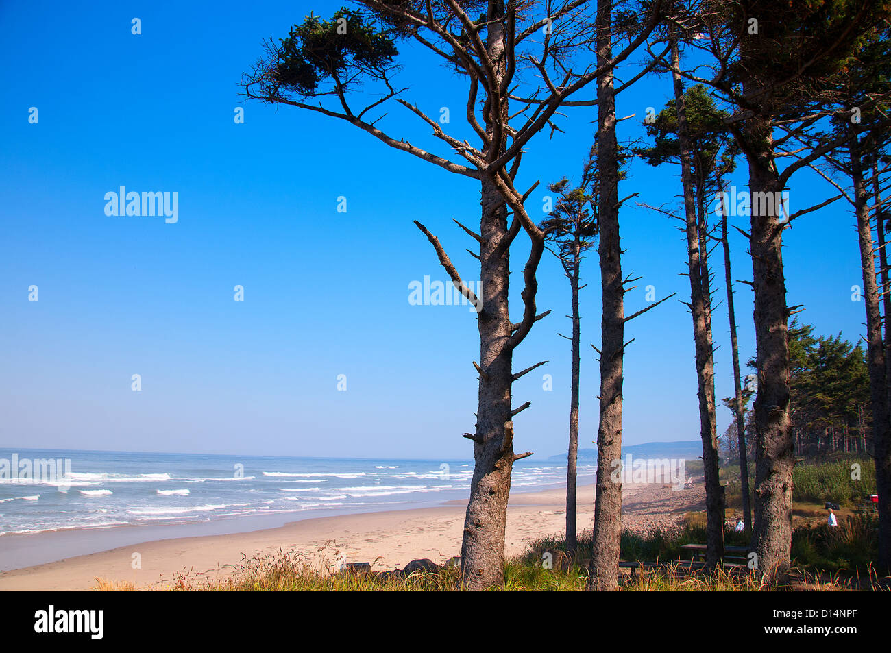 Der Strand von Cape Lookout in drei Bogen Staatspark Oregon USA Stockfoto