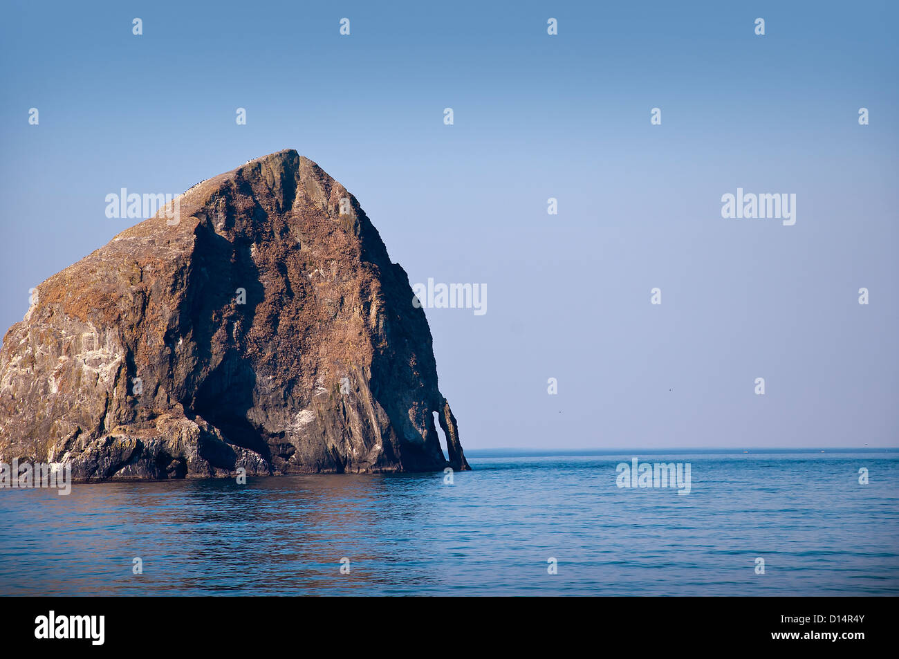 der Strand von Cape Kiwanda auf der Küste von Oregon in den USA Stockfoto