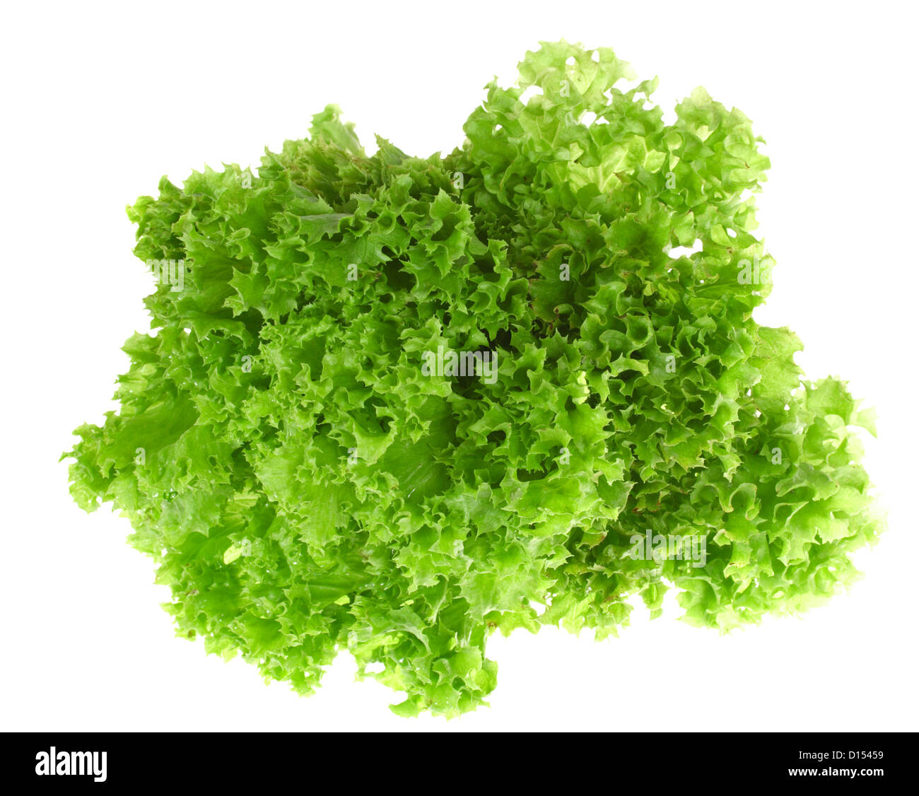 grüner Salat auf dem weißen Hintergrund isoliert Stockfoto