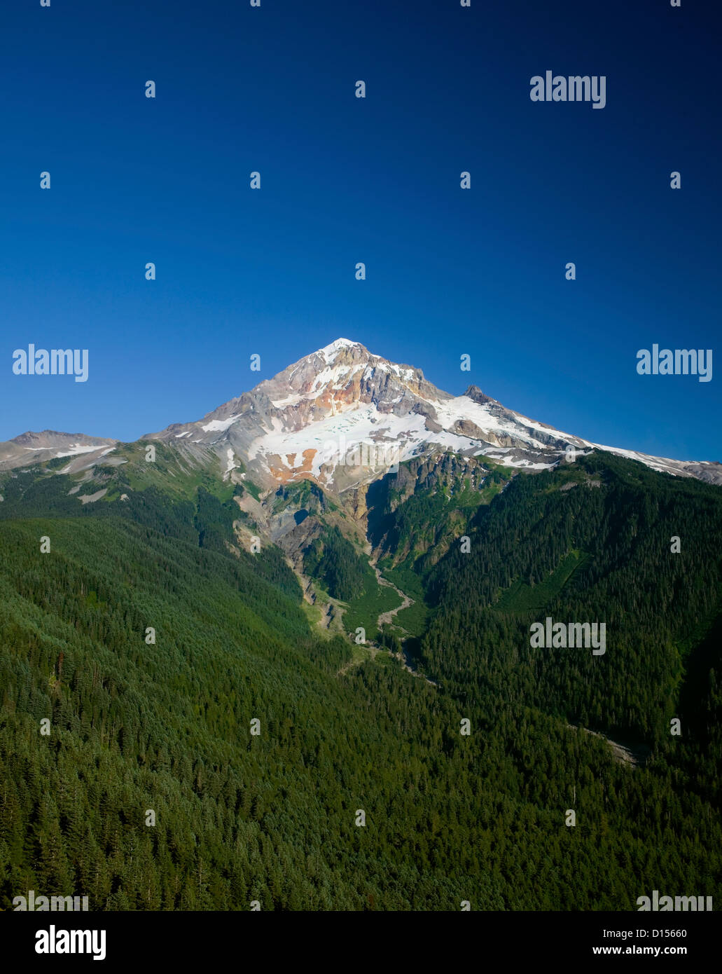 OREGON - Blick auf Mount Hood und Muddy Fork River Valley vom kahlen Berg in die Mount Hood Wilderness Area. Stockfoto