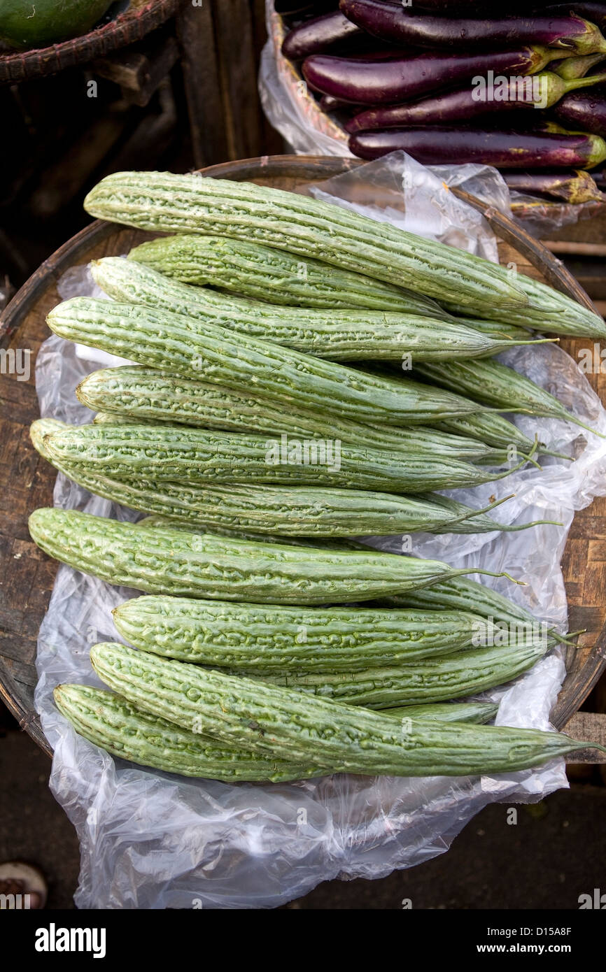 Chinesische Bittermelone - Ampalaya Stockfoto