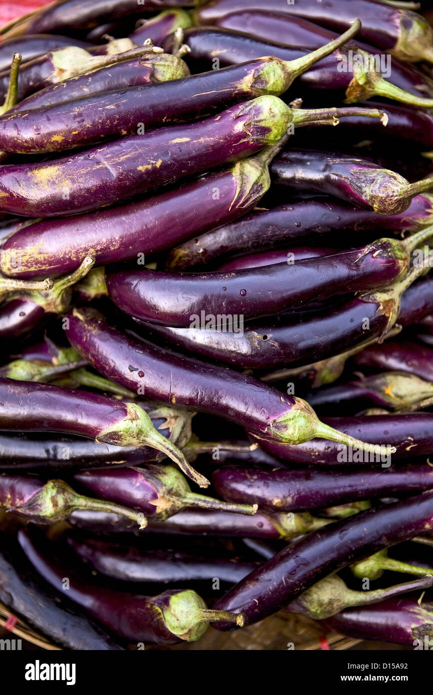 Lila Aubergine Stockfoto