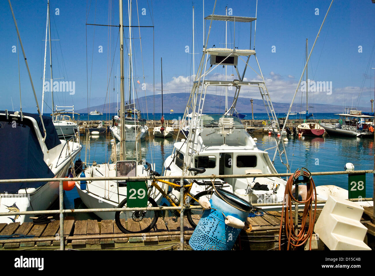 Hawaii, Maui, Lahaina Harbor. Stockfoto