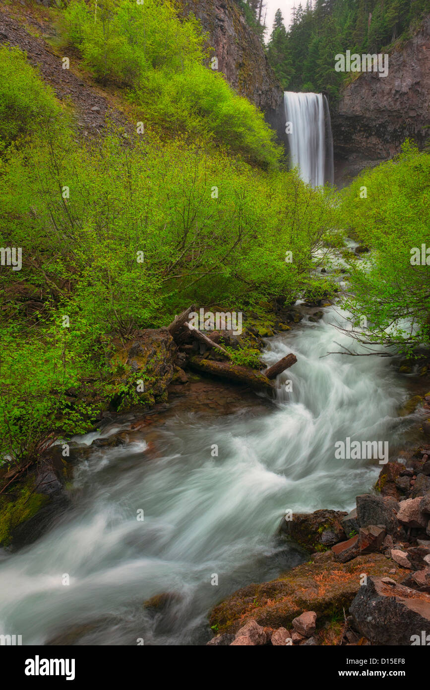 USA, Oregon, Hood River County, Tamawanas Wasserfälle Stockfoto