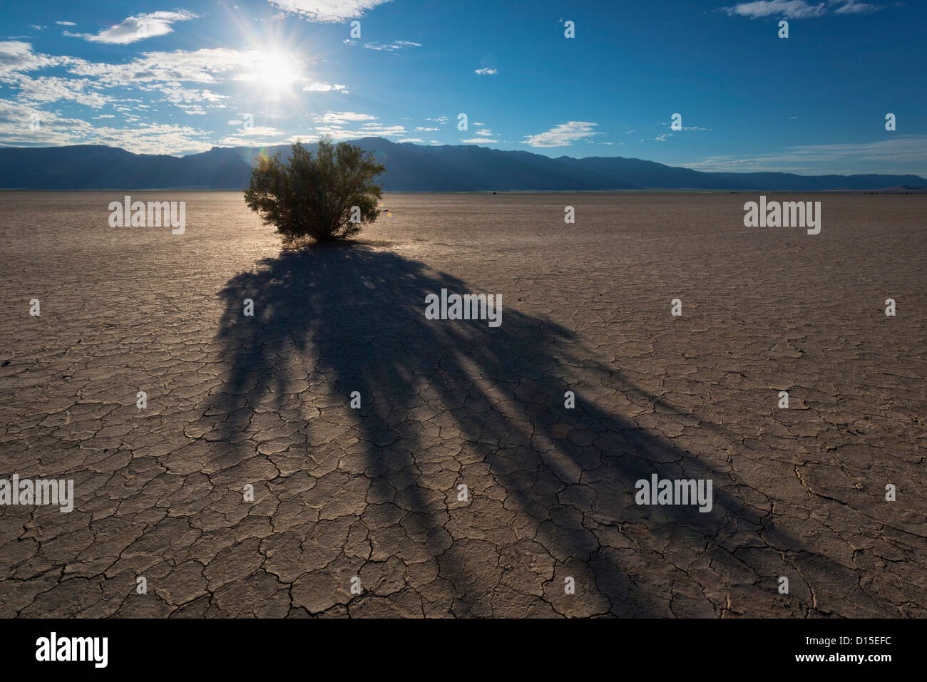 USA, Oregon, Harney Grafschaft Alvord Wüste bei Sonnenuntergang Stockfoto