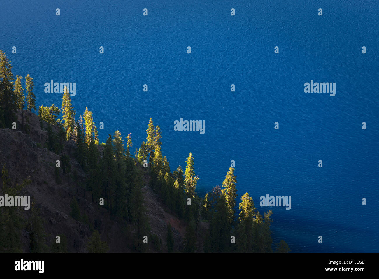 USA, Oregon, Crater Lake Nationalpark, Bäume am Hang Stockfoto