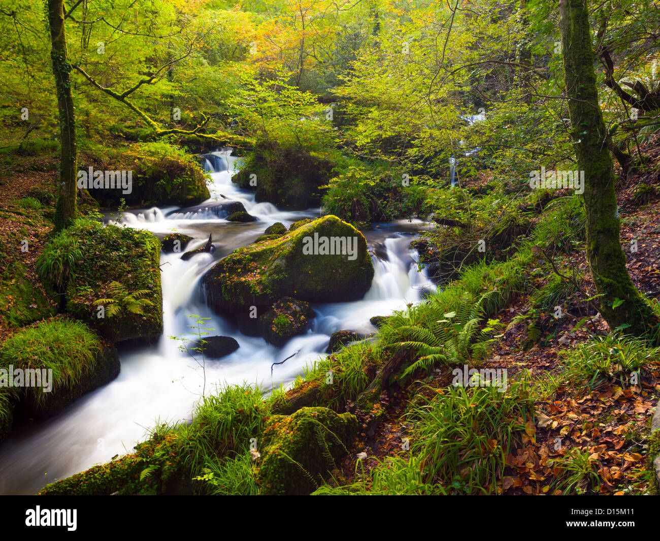 Einer der Wasserfälle im Wald bei Kennal Vale Nature reserve Cornwall England UK Stockfoto