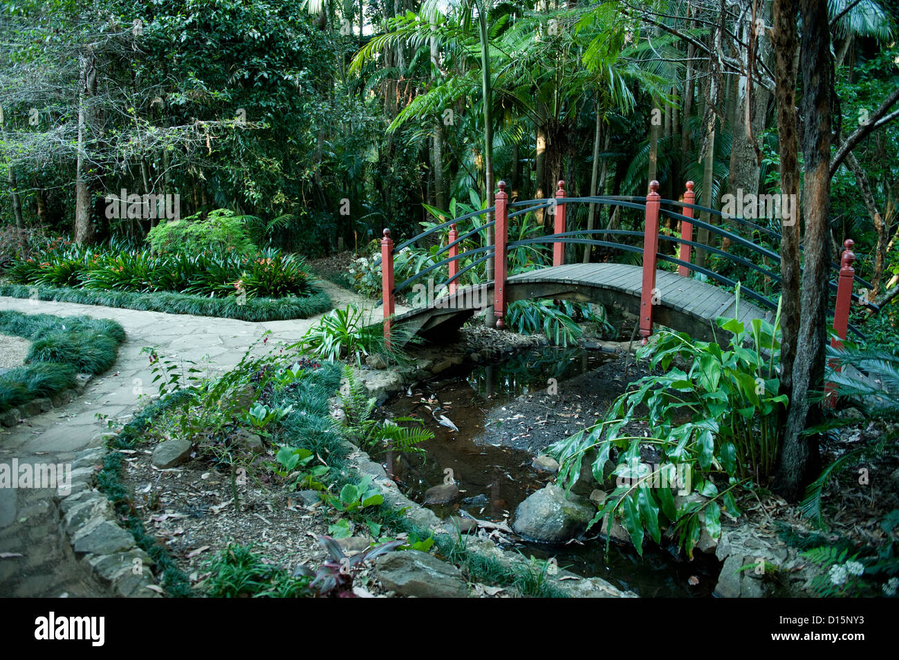 Japanischer Garten in Tamborine Mountain Botanic Gardens, Queensland, Australien Stockfoto