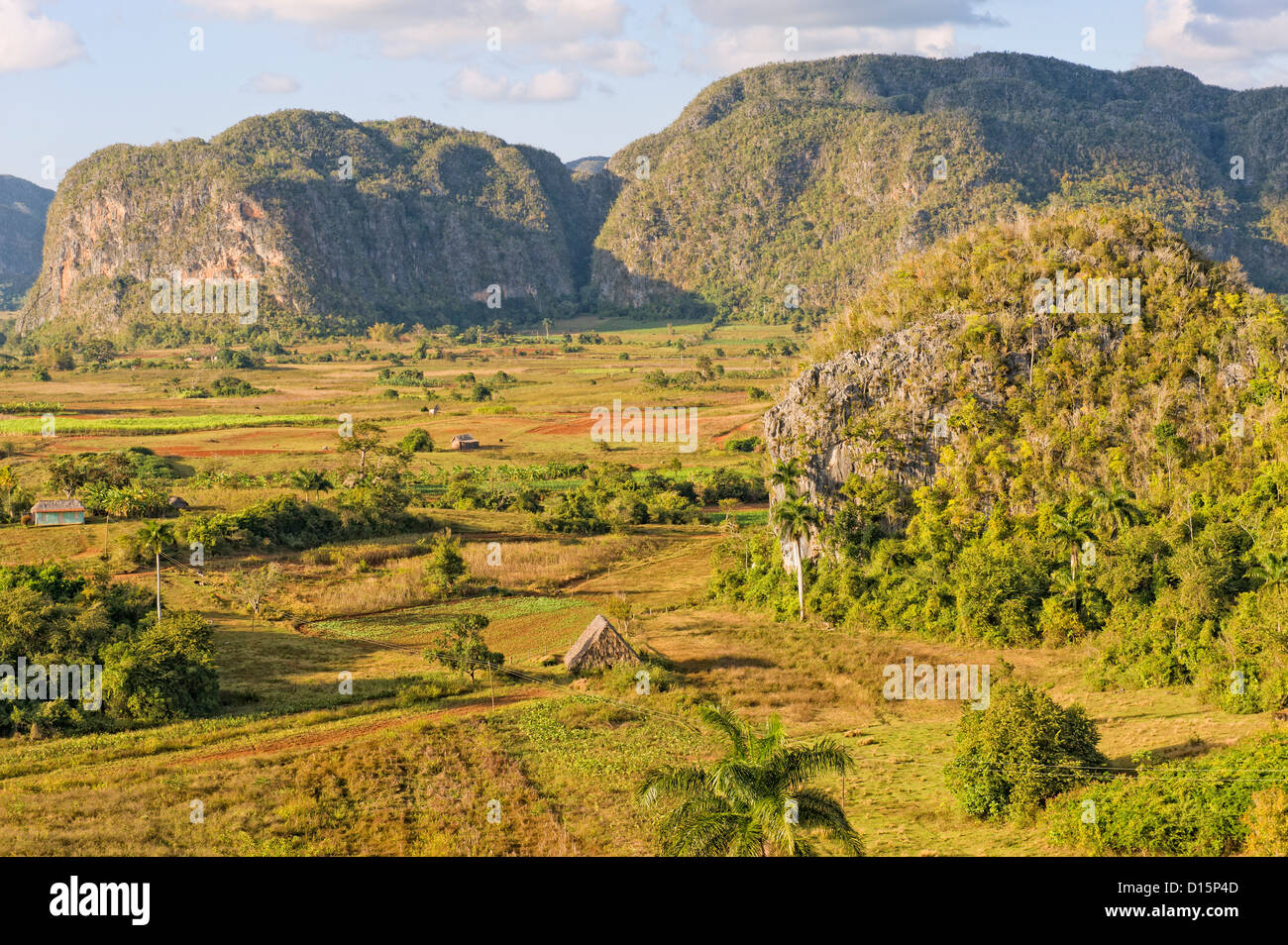 Vinales Tal, Tabak-Plantage, Mogotes, Vinales, Provinz Pinar Del Rio, Kuba Stockfoto