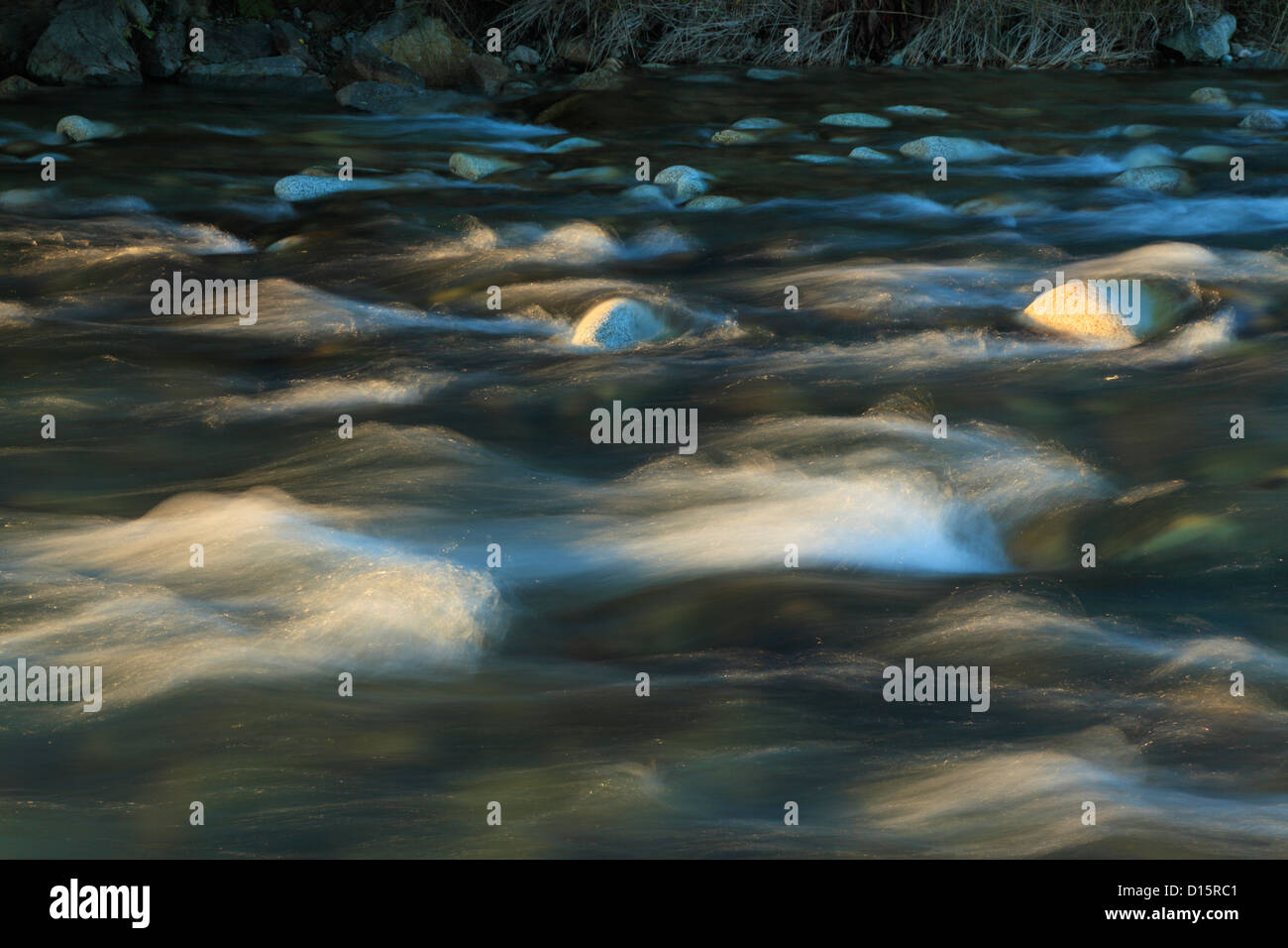Detail des Flusses Bela in der Nähe von Pribylina in der Tatra-Region der Slowakei Stockfoto