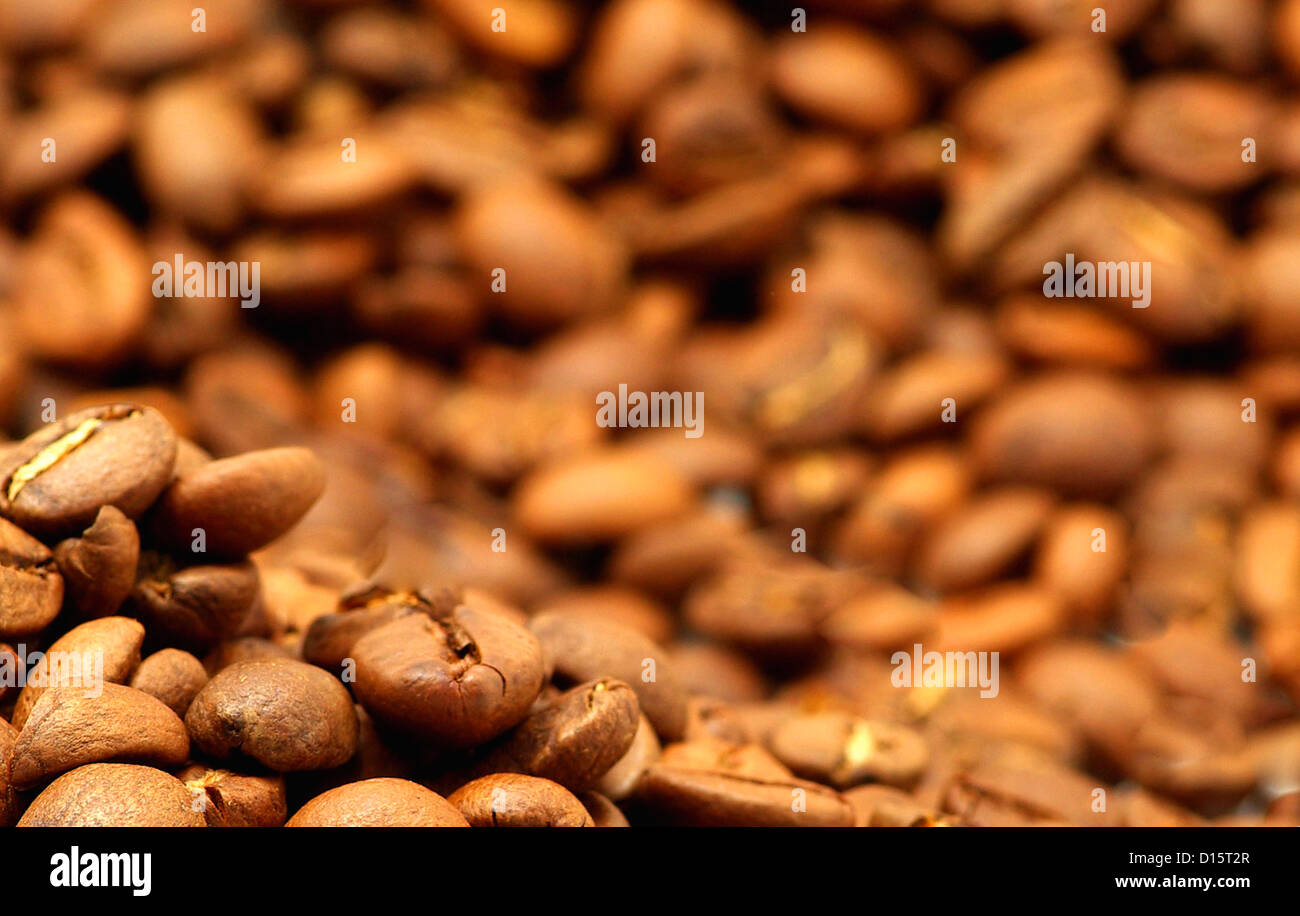 Nahaufnahme der aromatischen Kaffeebohnen Stockfoto