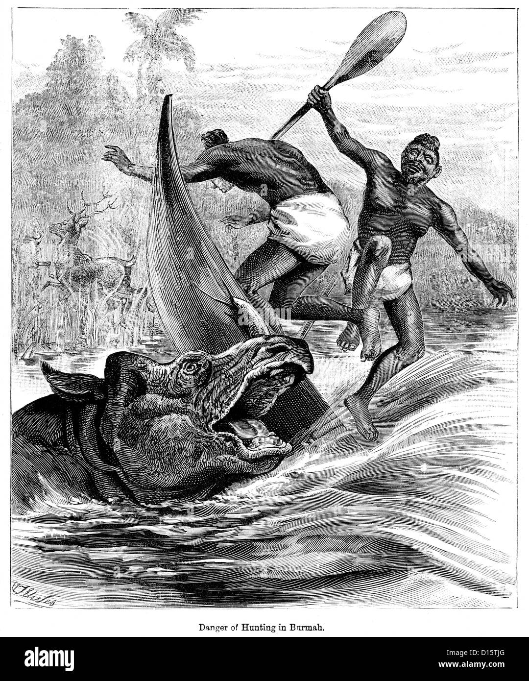 Eine Jagdgesellschaft in Birma 1897 von einem Nashorn angegriffen Stockfoto