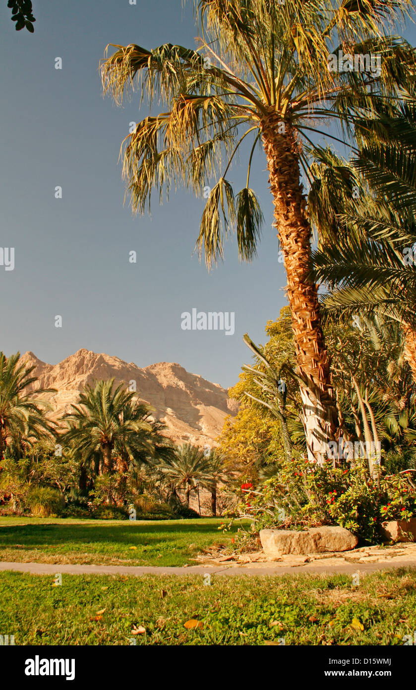 Israel Dead Sea Kibutz Ein Stockfotos und bilder Kaufen Alamy