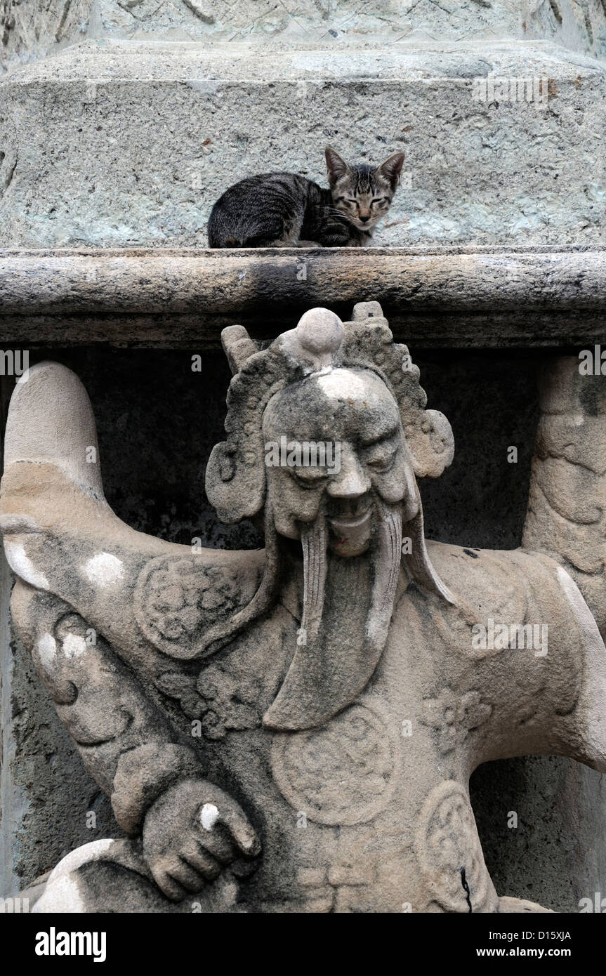 Wat Pho Tempel des liegenden Buddha buddhistischen Schrein Bangkok Thailand cat statue Stockfoto