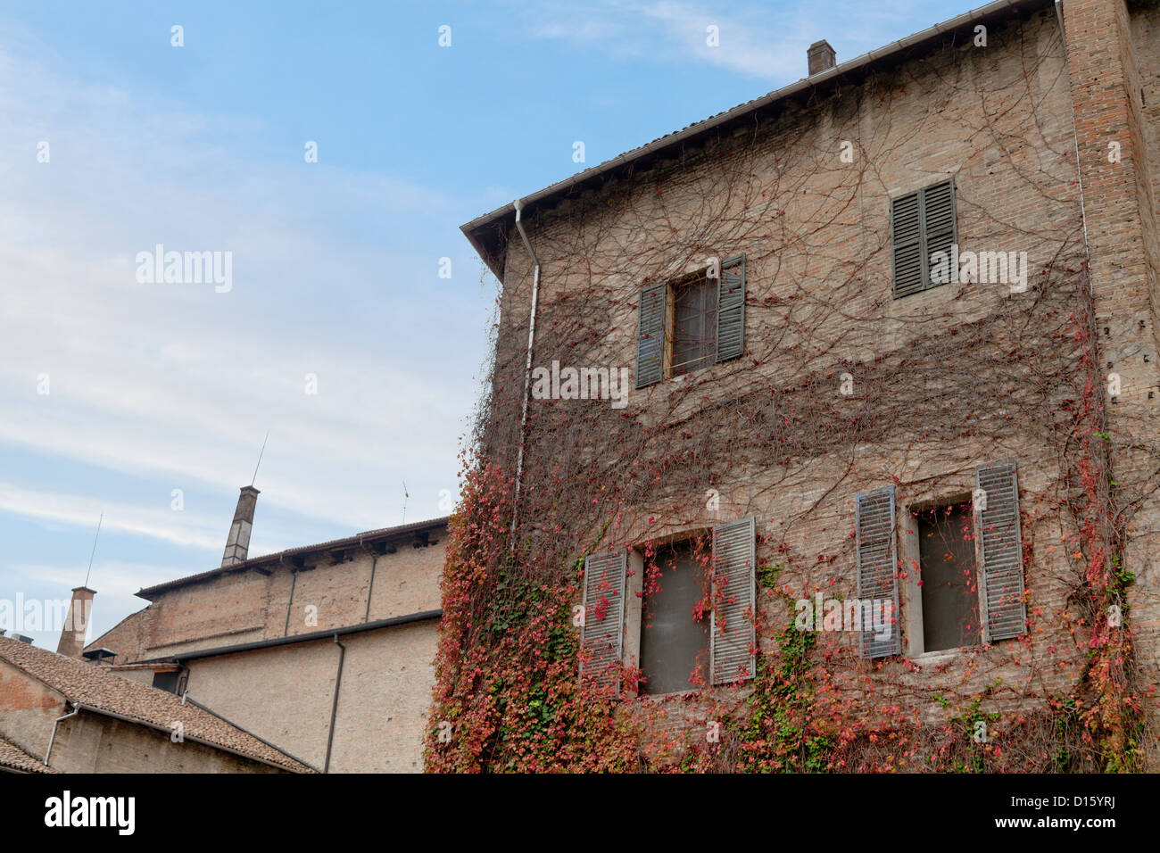 alte Hauswand bedeckt mit Herbst Efeu in Parma, Italien Stockfoto