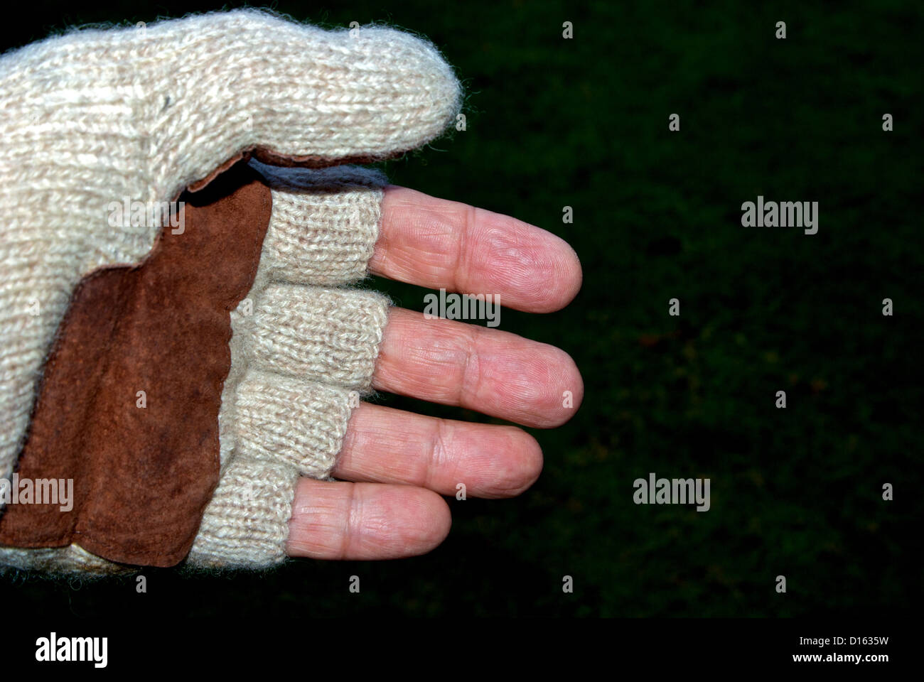 Hand in gestrickten wollenen fingerlosen Handschuh Stockfoto